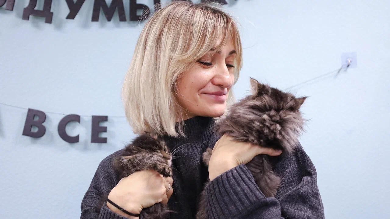 365 котов в году: столько подопечных приюта «Счастливый хвост» находят новый дом