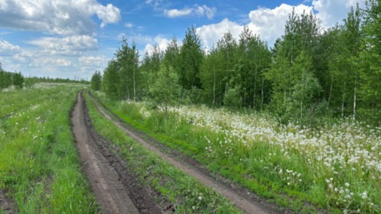 Жителя Прикамья через суд обязали очистить заросшие сельхозземли 