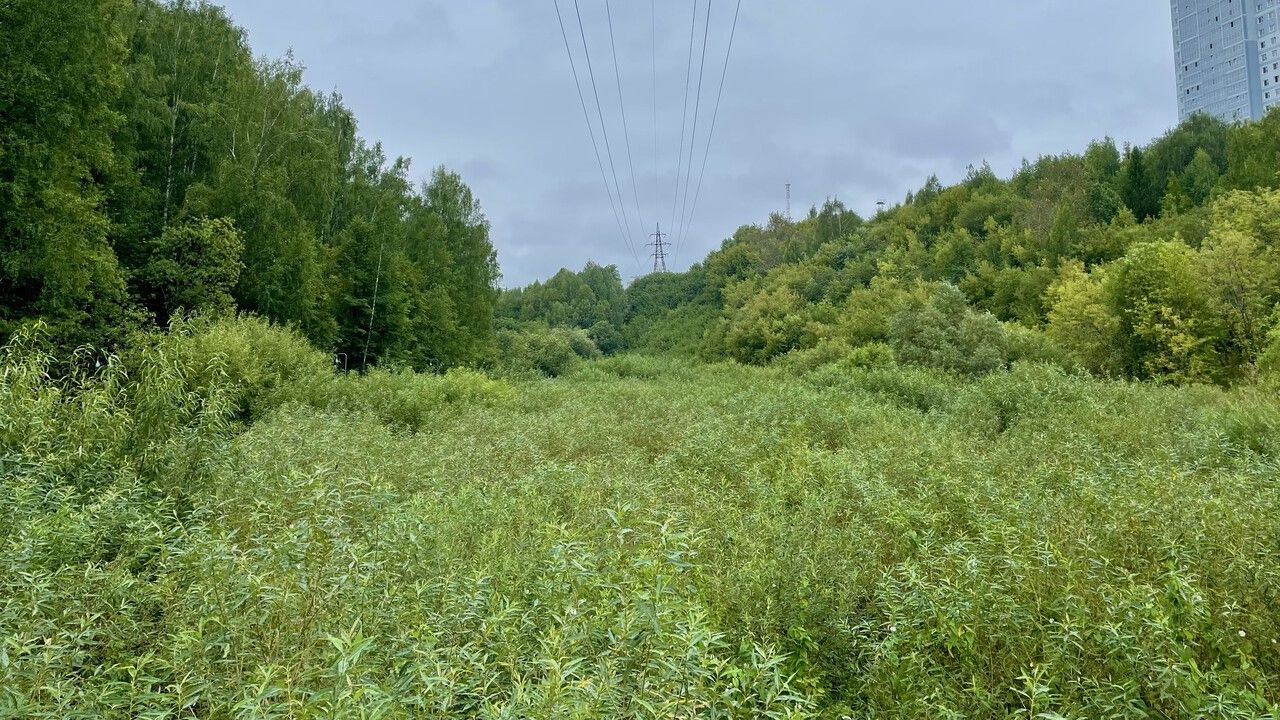 В Перми снизили арендную плату за землю в проектах КРТ