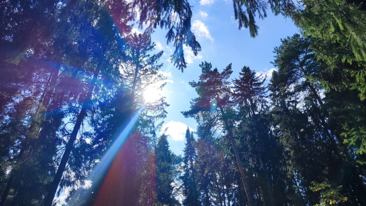 Министерство природных ресурсов Прикамья подвело итоги работы за 2025 год и обозначило планы на 2026 год