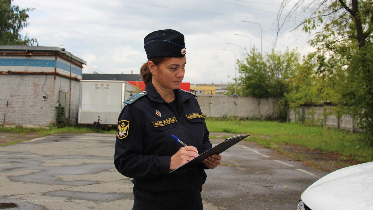 ​В Перми кронировали 17 опасных деревьев в садовом товариществе