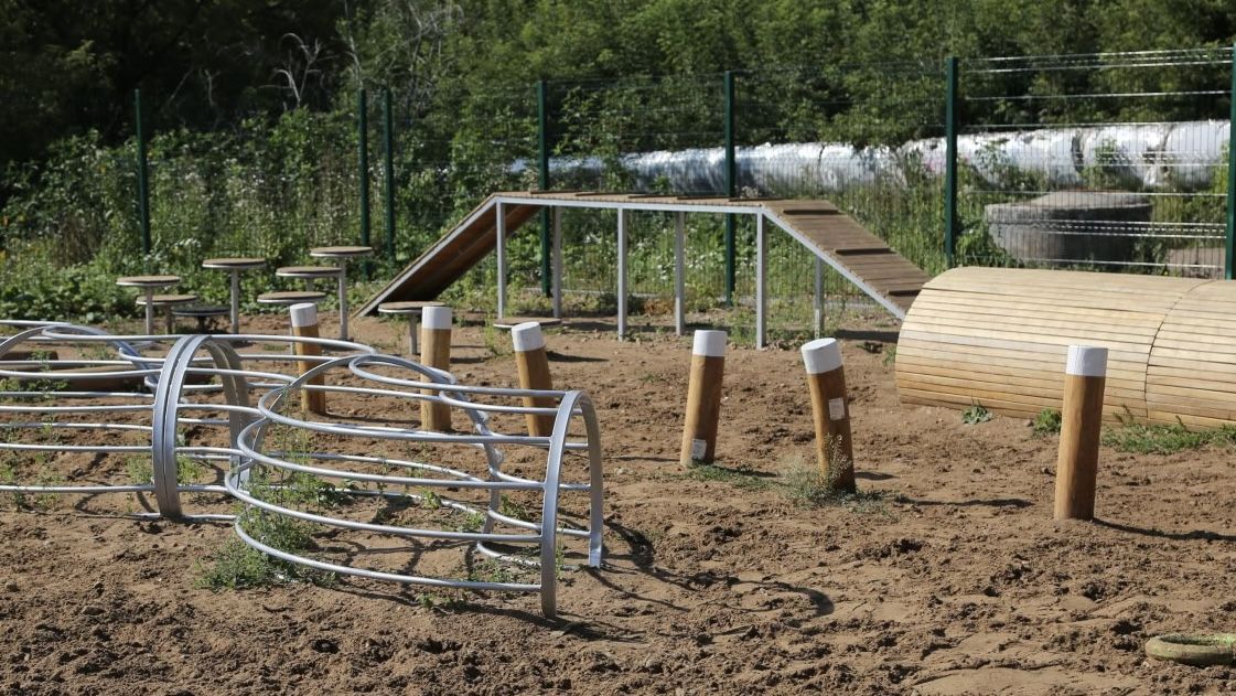 В Перми создаются новые площадки для дрессировки и выгула собак