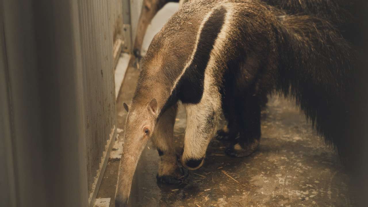 Фото: Правительство Пермского края