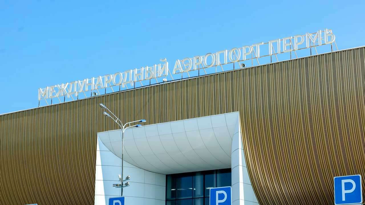 ​Пермский аэропорт рассказал, каких животных перевозили на самолётах в 2024 году 