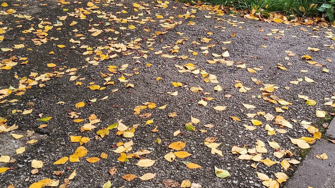 Заморозки и солнечная погода ожидаются с 11 по 13 сентября в Прикамье