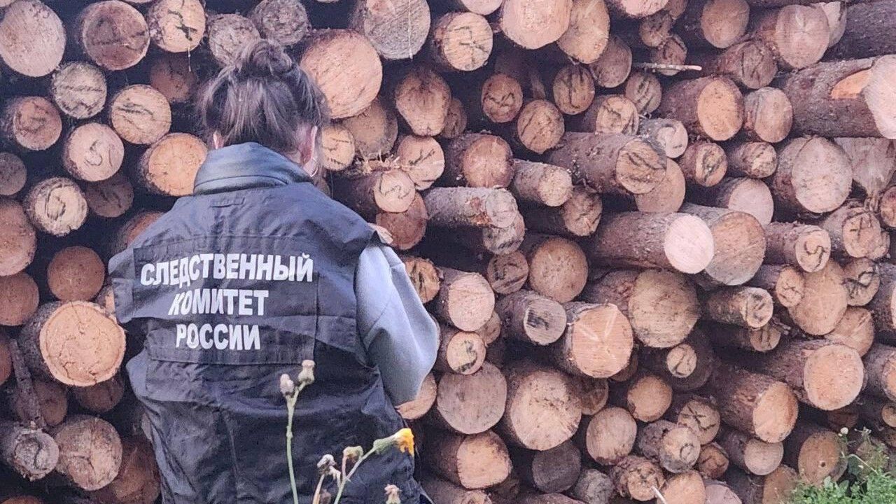 ​В Чусовском округе двух детей завалило бревнами