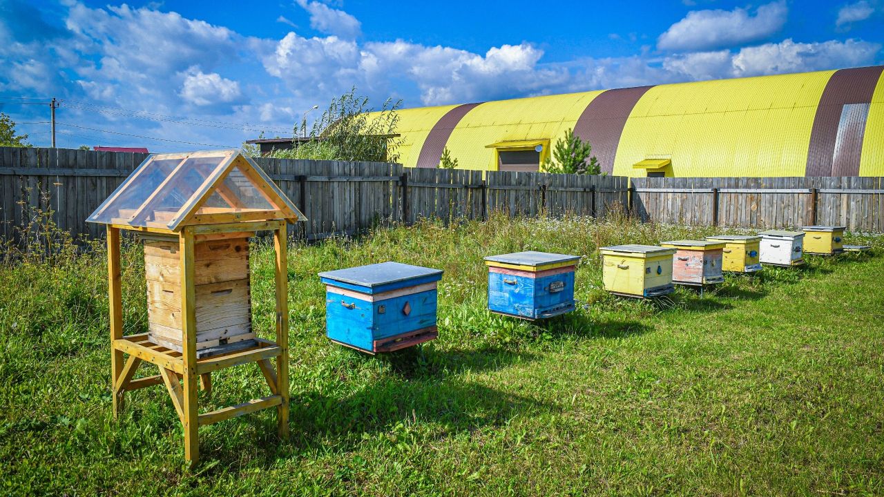 Фото: пресс-служба Пермской городской Думы