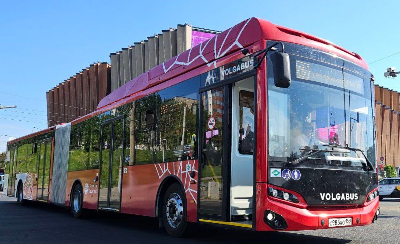 До конца года в Перми появится более 100 новых автобусов