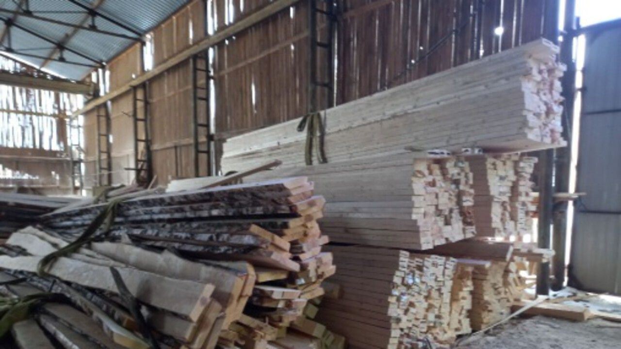 ​Пермский предприниматель оштрафован за вывоз пиломатериалов с карантинными вредителями