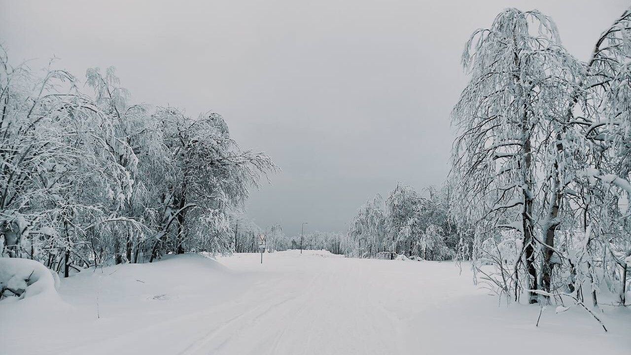73 сантиметров достигла высота снежного покрова в Перми после ночного снегопада 