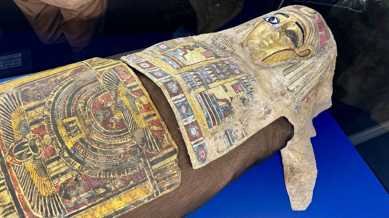 Саркофаги, мумии и папирусы: Пермская художественная галерея представила коллекцию Древнего Египта на «Ночи музеев» 