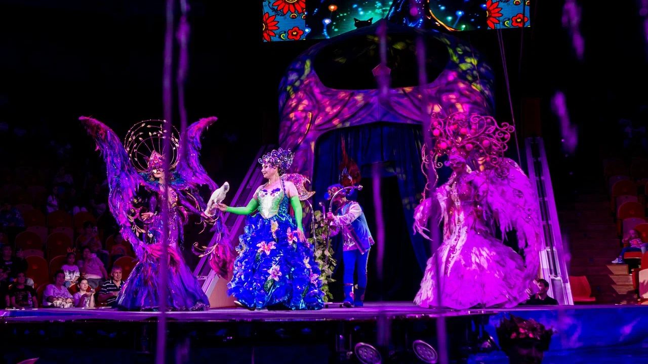 ​Ребята из сел Прикамья смогли бесплатно увидеть яркое цирковое шоу