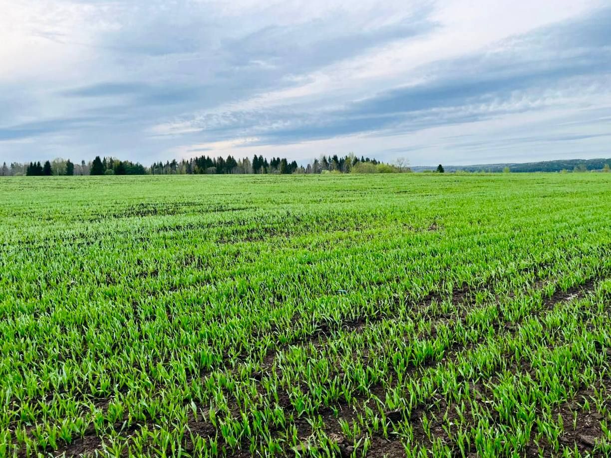 Фото: Telegram-канал Дмитрия Махонина