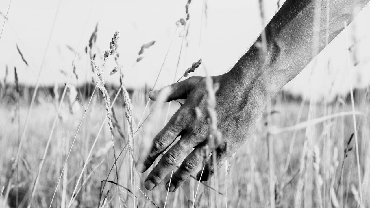 Природоохранная прокуратура приняла меры по охране сельскохозяйственных земель Сивинского округа 