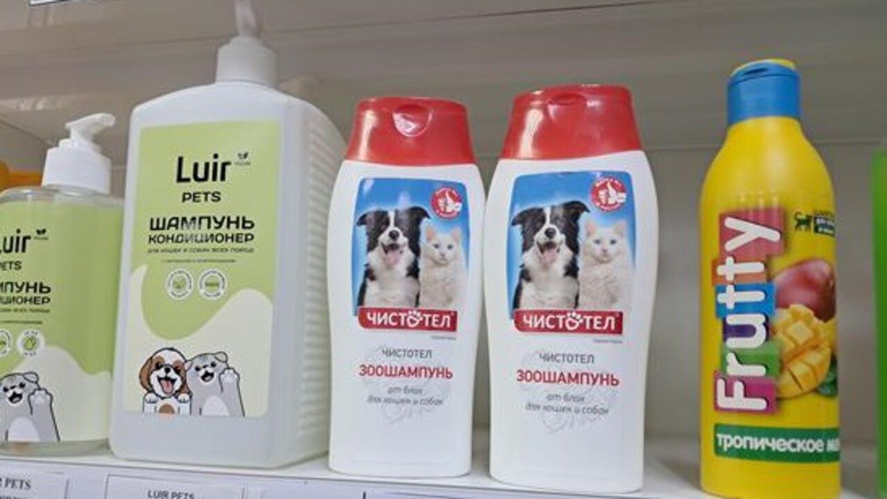 Предпринимателя оштрафовали за продажу ветеринарных средств без лицензии в Прикамье