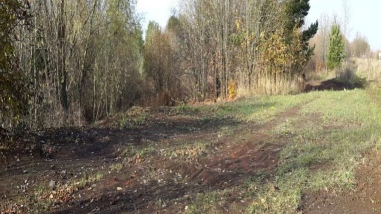 ​В Пермском округе после предостережения Россельхознадзора ликвидировали свалку