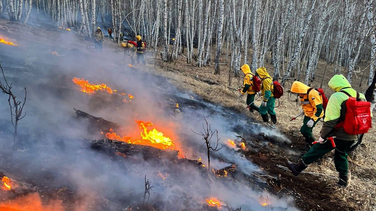 Меры против красного петуха. В Прикамье устанавливается особый противопожарный режим