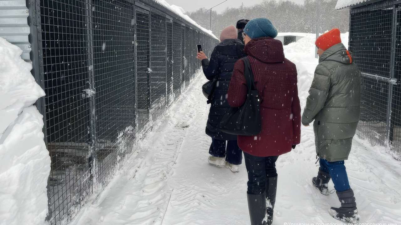 Фото: Управление по экологии и природопользованию Администрации г. Перми