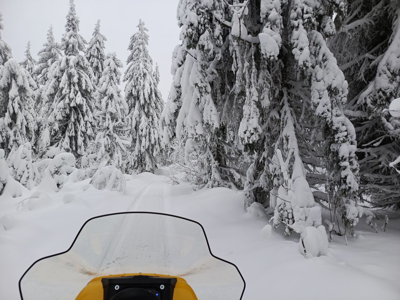 Пермь установила зимний рекорд по осадкам