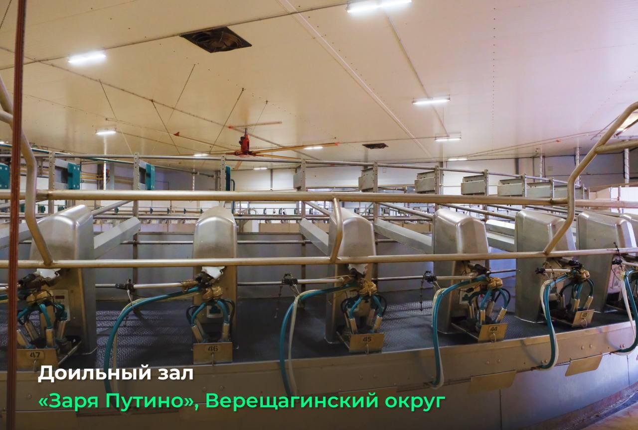 Фото: Telegram-канал Дмитрия Махонина