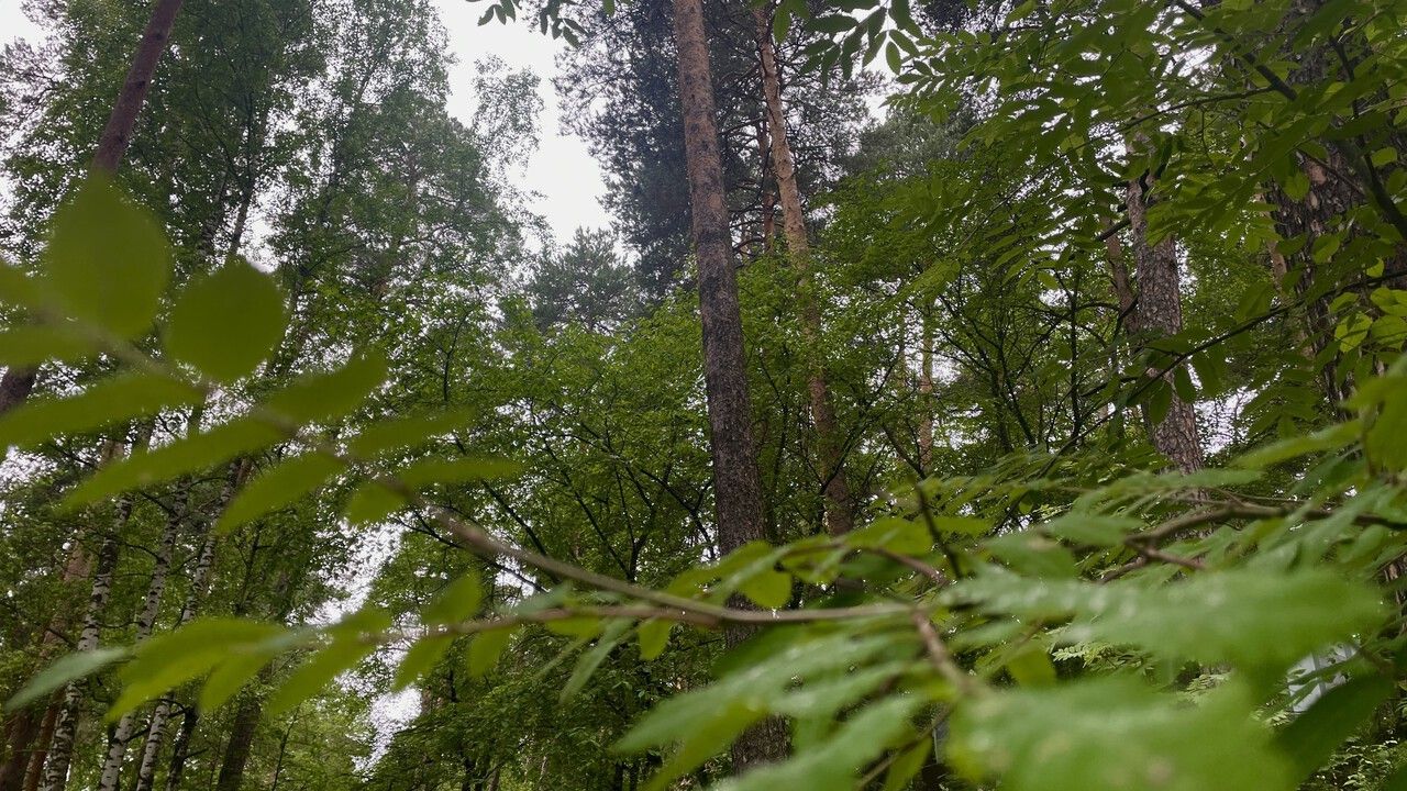 ​В Пермском крае может появиться новая особо охраняемая природная территория