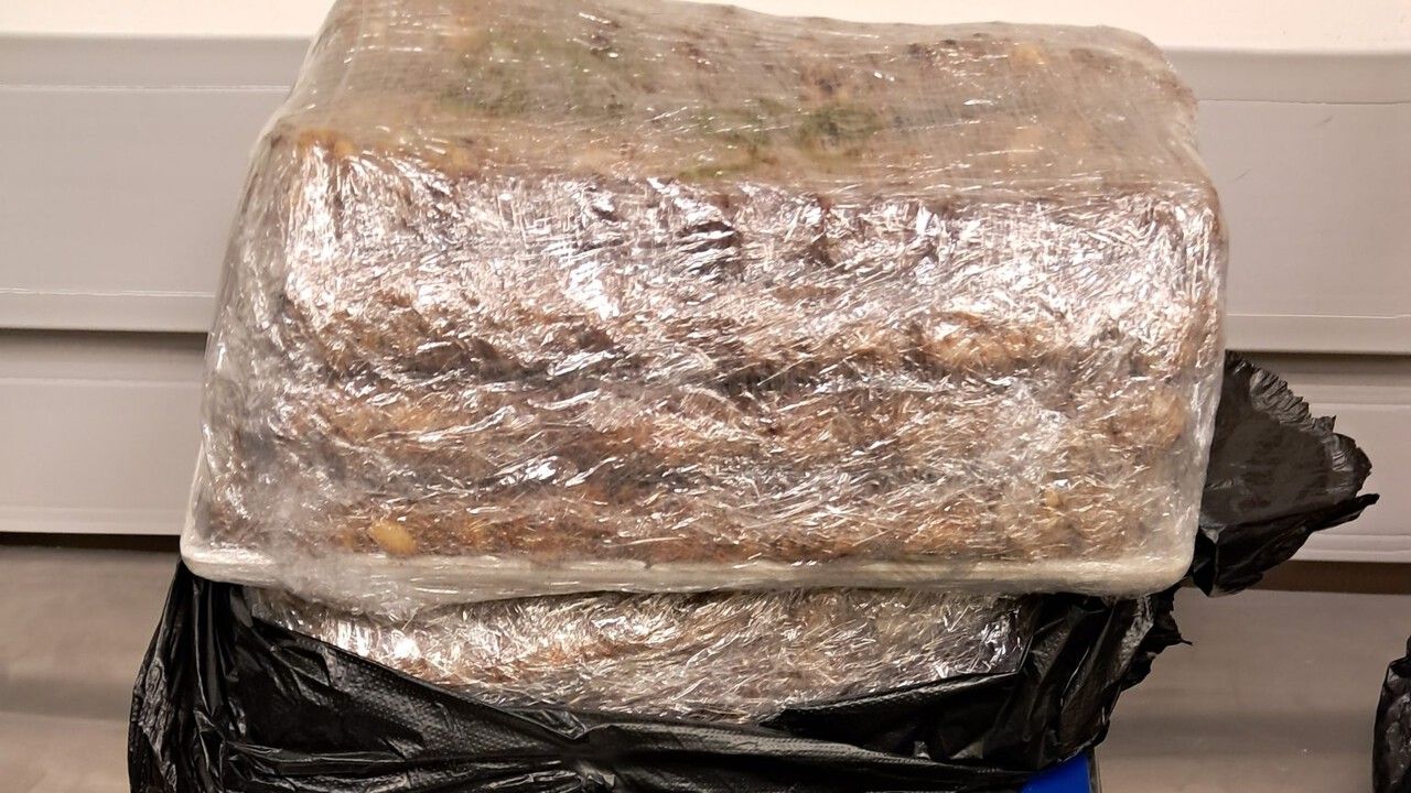 ​В Пермском аэропорту предотвращен незаконный ввоз опасной животноводческой продукции