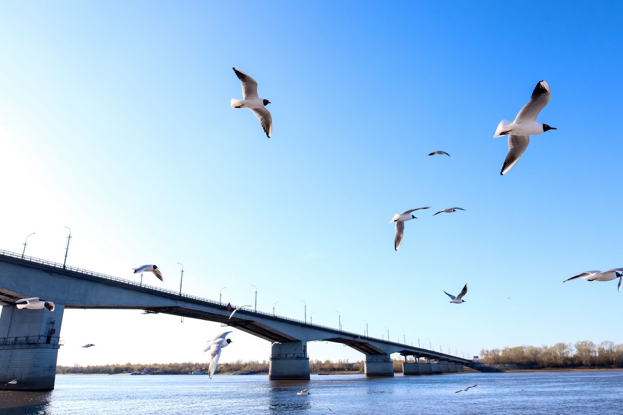 Правобережье города должно развиваться так же, как и левый берег. Фото: пресс-служба правительства Пермского края