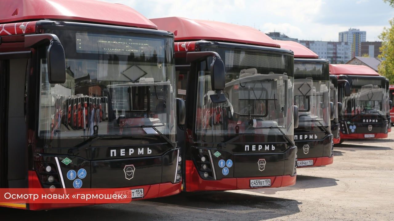 В Пермь поступило 59 новых автобусов