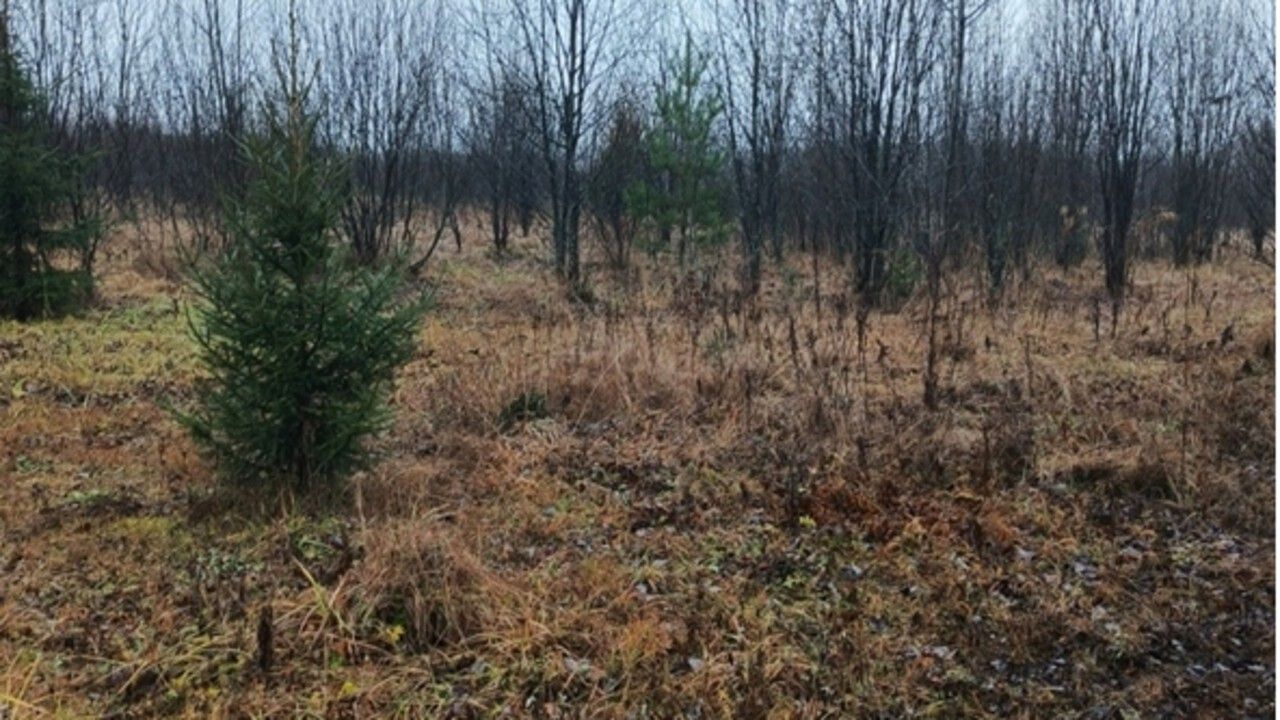 ​Собственники сельхозучастка в Пермском крае оштрафованы за невыполнение предписания Россельхознадзора