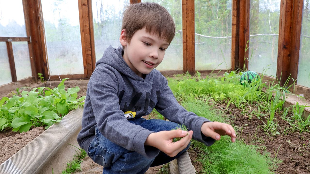 Земля зовет! Какие работы предстоит выполнить пермякам в середине весны