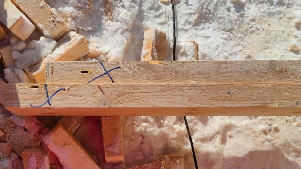 ​В Прикамье предпринимателя оштрафовали за хранение зараженной древесины без изоляции