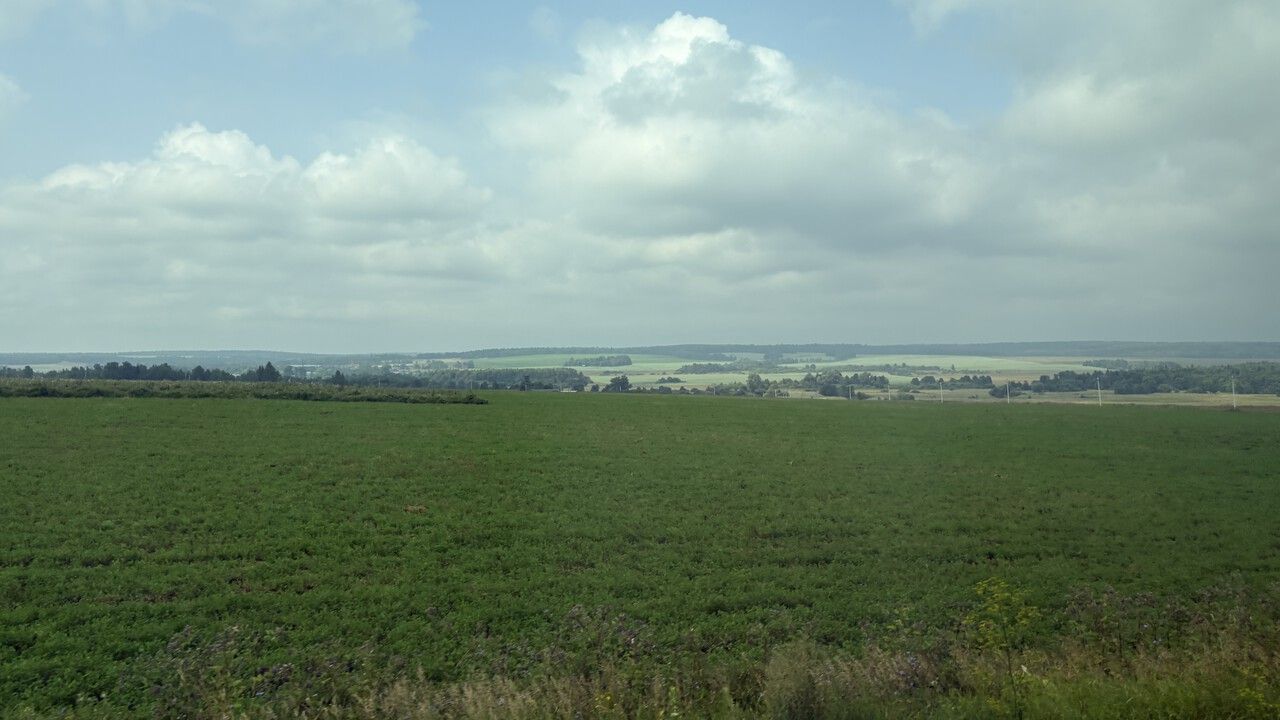 Минимущество Прикамья объявило о дате торгов на 15 земельных участков сельскохозяйственного назначения