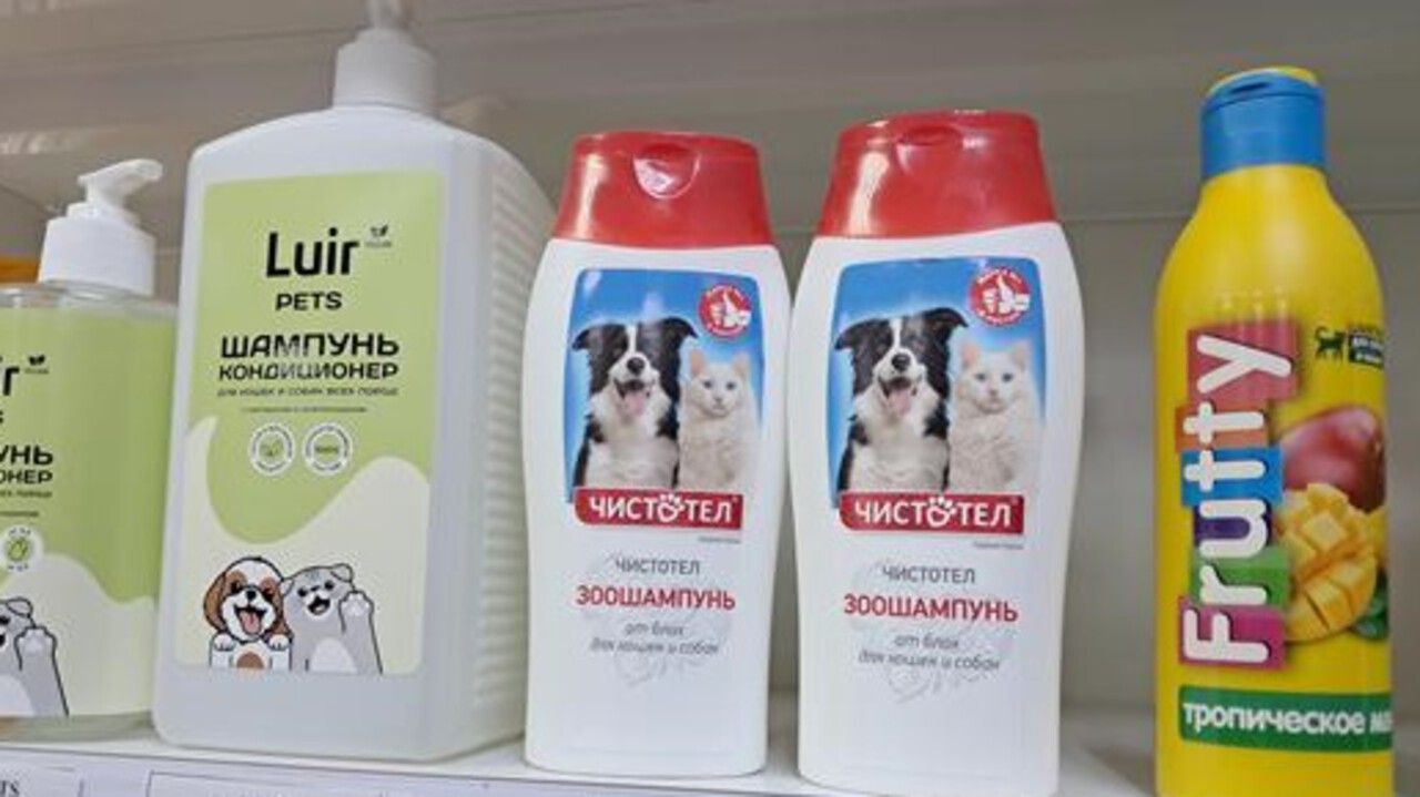 ​Предприниматель в Кудымкаре продавала зоошампунь с лекарственными средствами без лицензии
