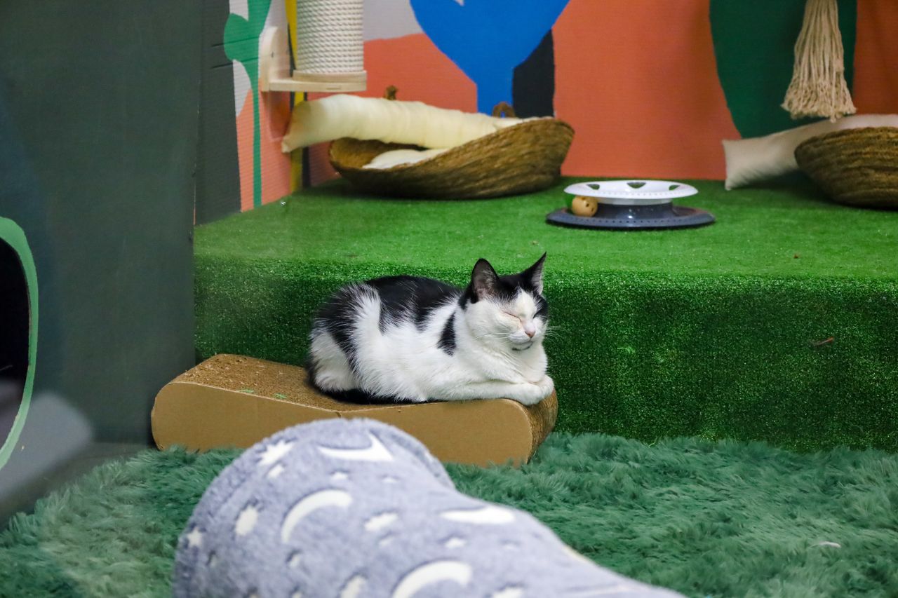 Фото: Елена Майорова