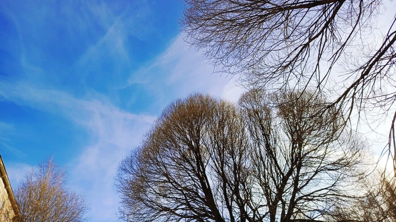 Рекордно теплая весна: как Прикамье пережило волну тепла в марте–начале апреля 2026 года