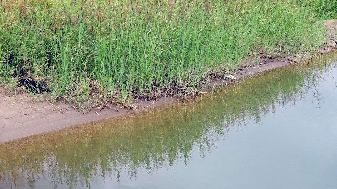 В Чайковском округе 15-летний подросток утонул в реке Пизь