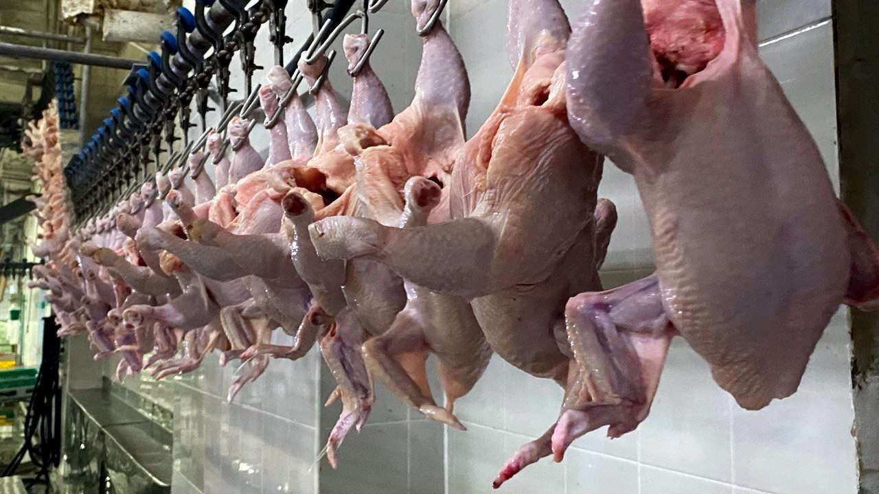 Фото: автор текста