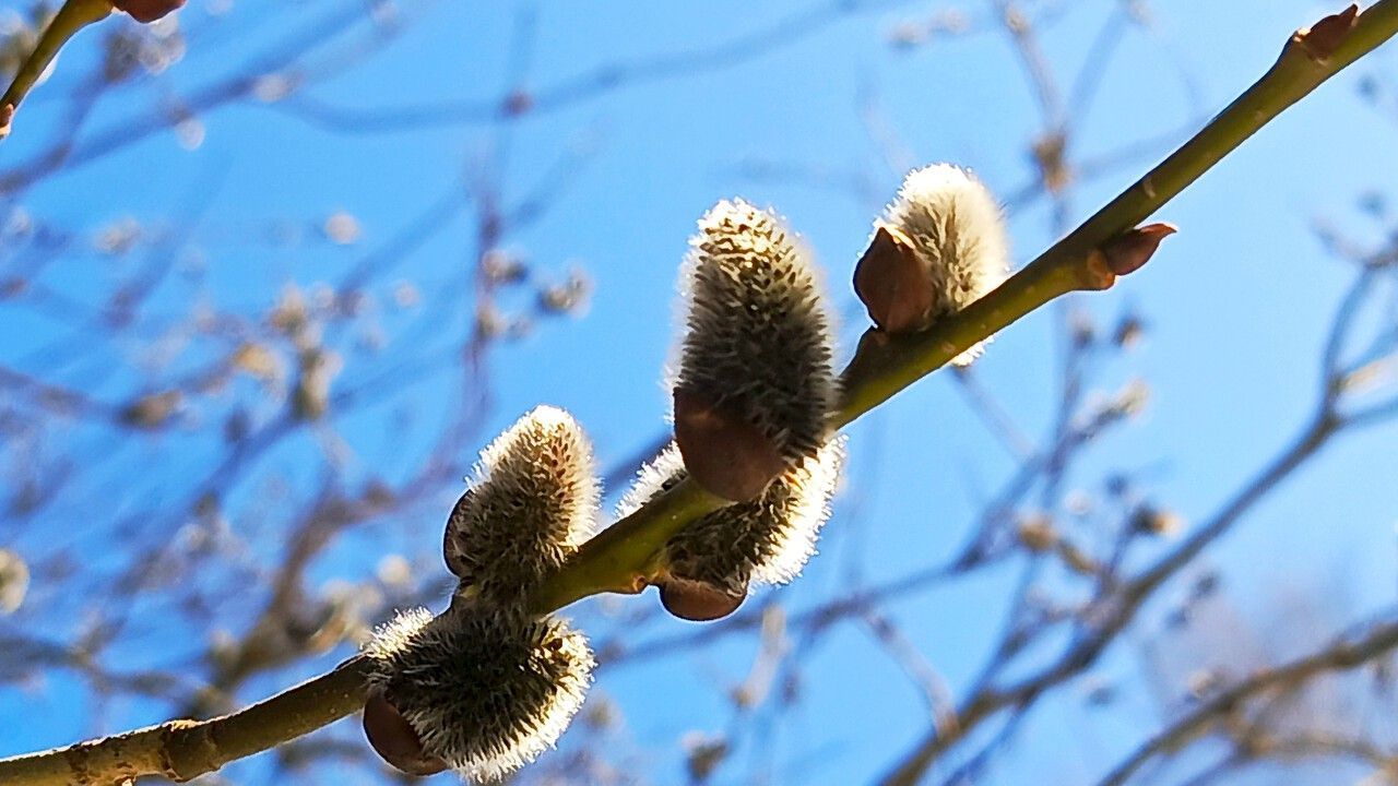 ​​В Пермский край пришло похолодание