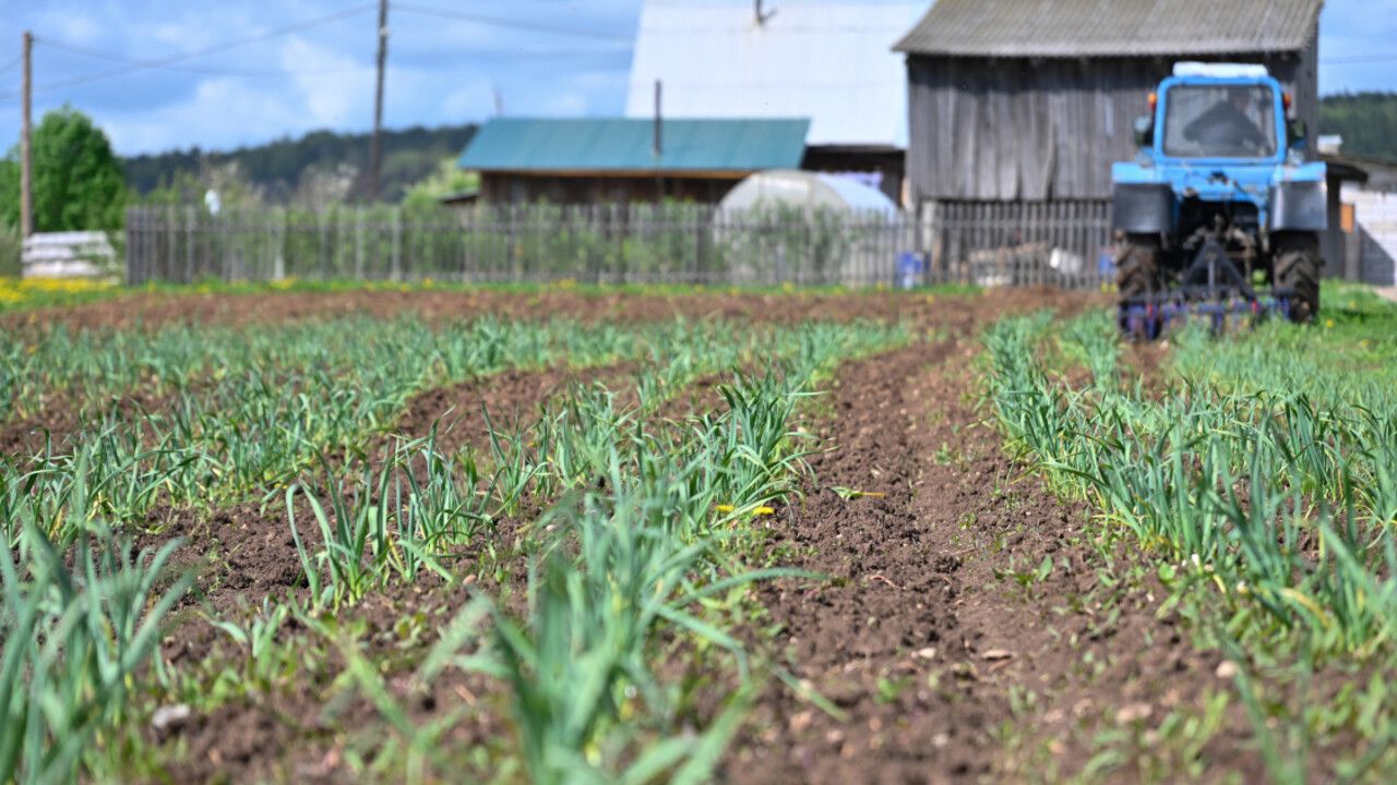 ​В Прикамье участники и ветераны СВО смогут получить до 3 млн рублей на запуск собственного фермерского хозяйства