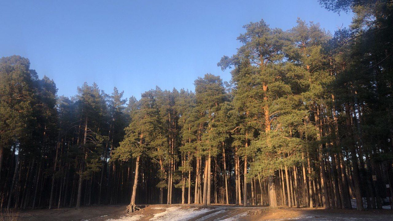 В Пермском крае май станет самым холодным с 2017 года 