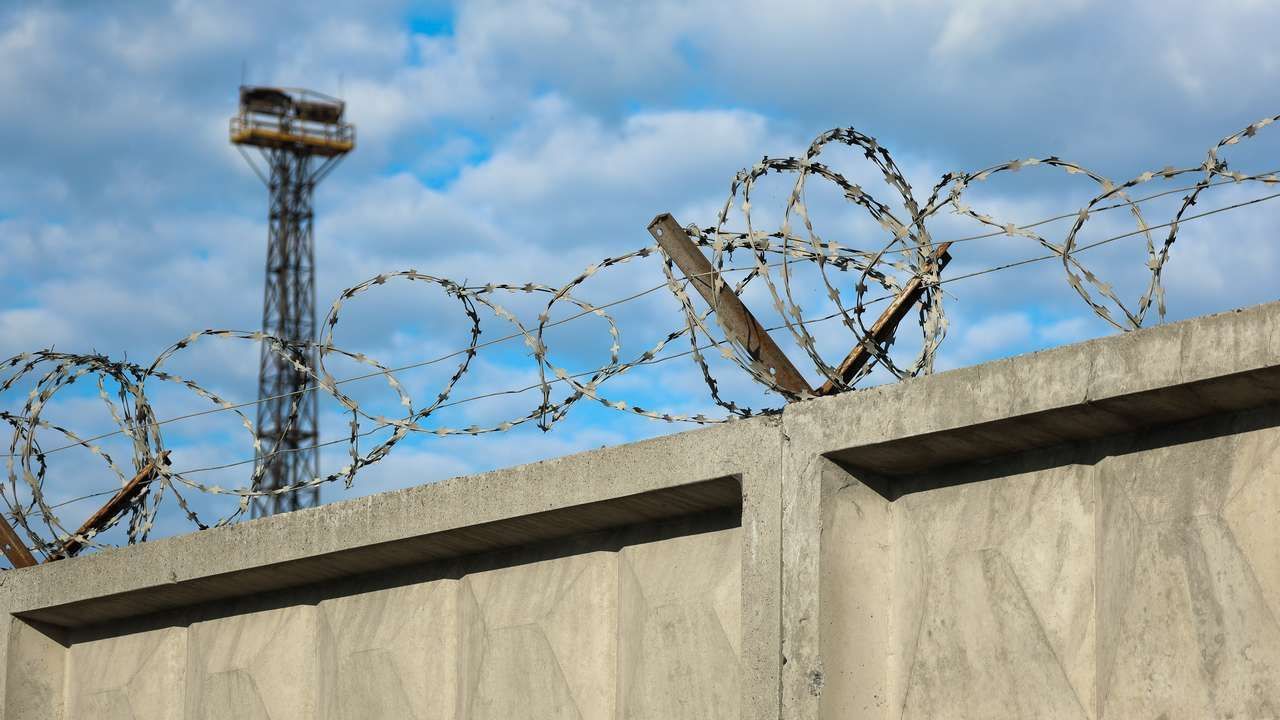 ​Блогер из Куеды Аяз Шабутдинов признал вину в мошенничестве