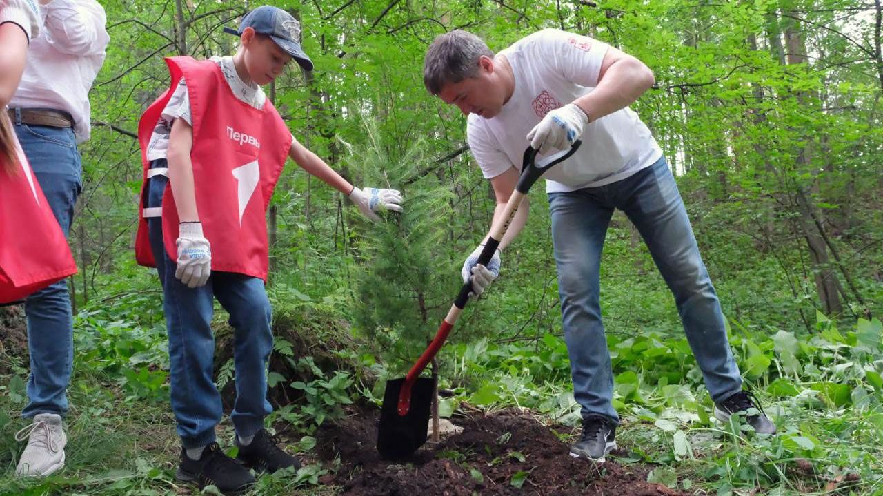 Фото: пресс-служба Министерства природных ресурсов, лесного хозяйства и экологии Пермского края