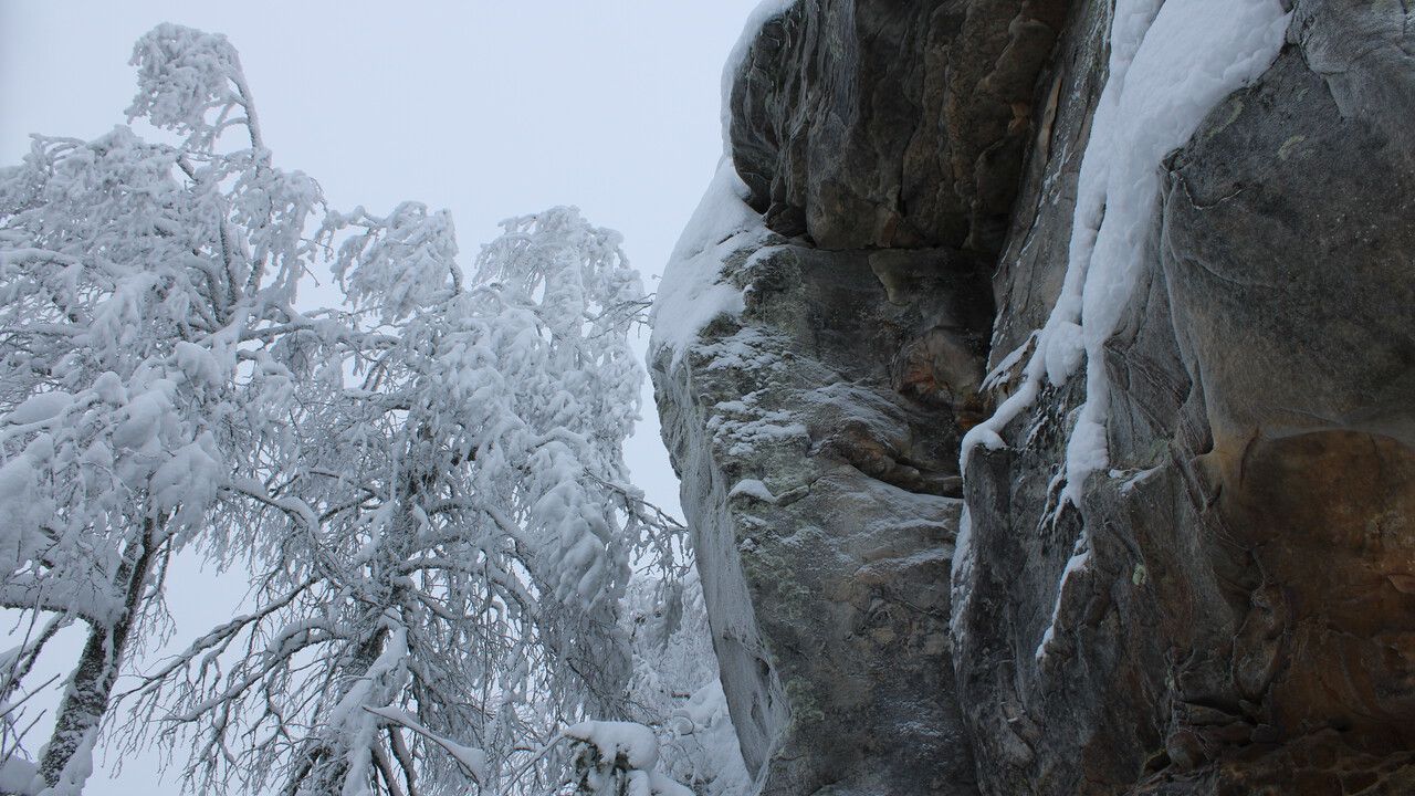 В Прикамье сегодня наблюдается самый сильный снегопад за последнее время
