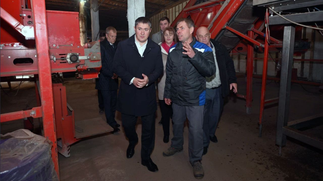 Суксунский картофель любят по всей России