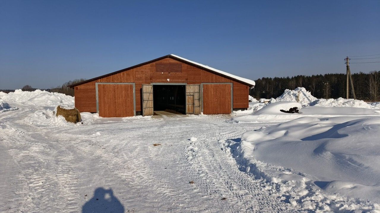 ​В Верещагинском округе бизнесмен с нарушениями содержал более тысячи овец и коз