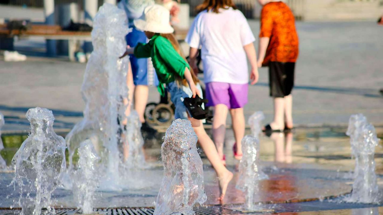 Фото: Елена Майорова