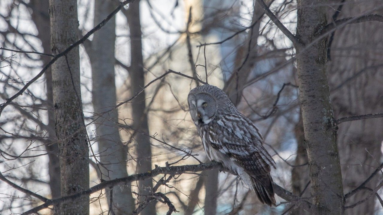 Фото: Денис Исаков