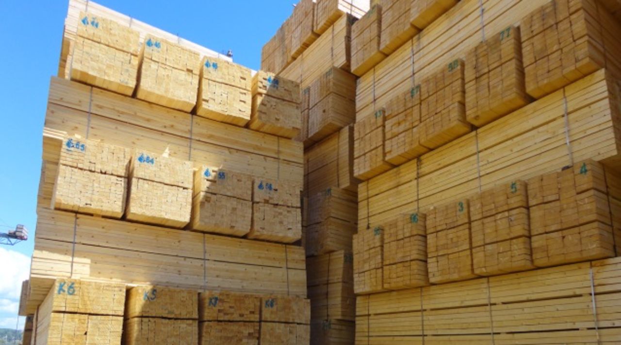 ​Из Пермского края во Вьетнам экспортировано более 5 тысяч кубометров лесопродукции с начала года