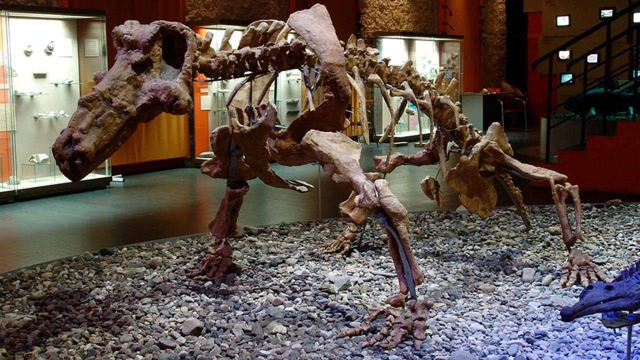 Фото: Telegram-канал губернатора Пермского края Дмитрия Махонина