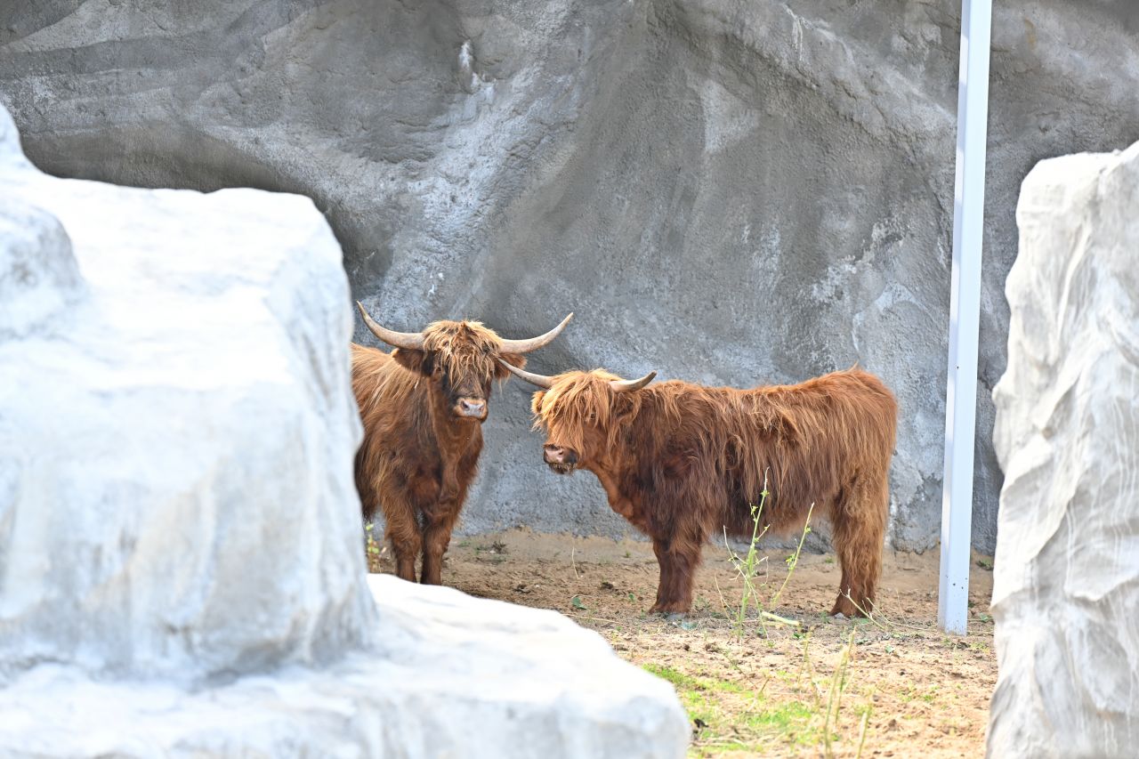 Фото: правительство Пермского края